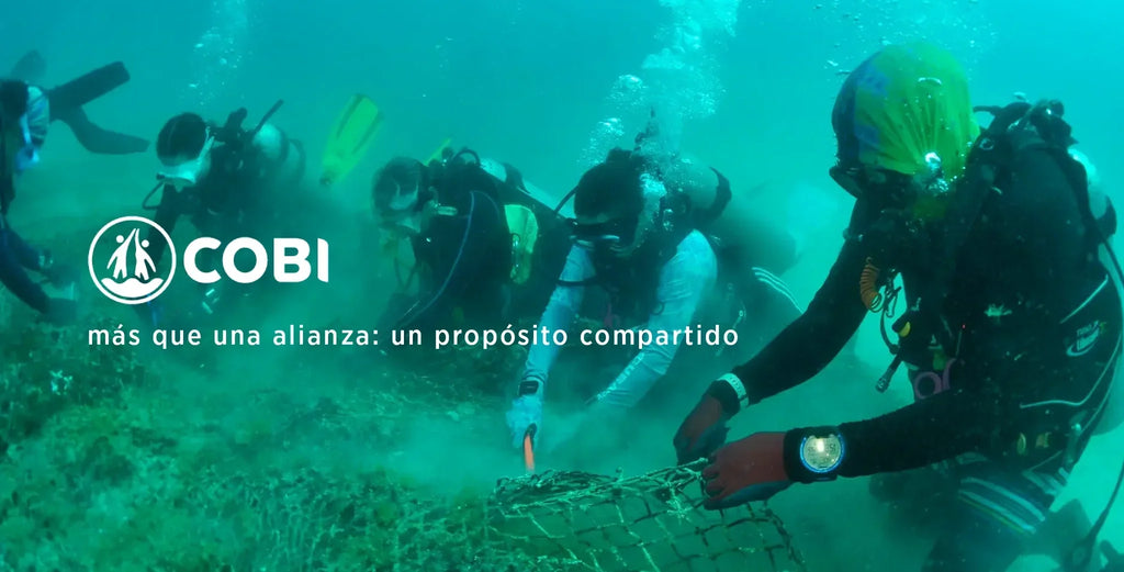 guardianes del mar, aliados del cambio