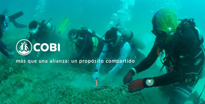 guardianes del mar, aliados del cambio