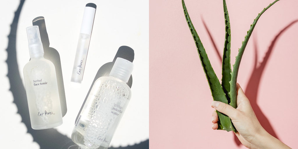 por qué el aloe vera es esencial en tu rutina de cuidado de la piel