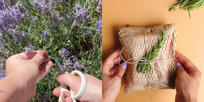 envoltura de regalos eco-friendly