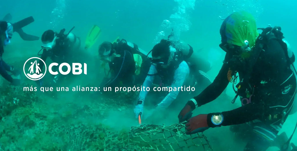 guardianes del mar, aliados del cambio