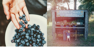 comida saludable para bebés