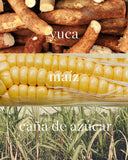 eco esponjas