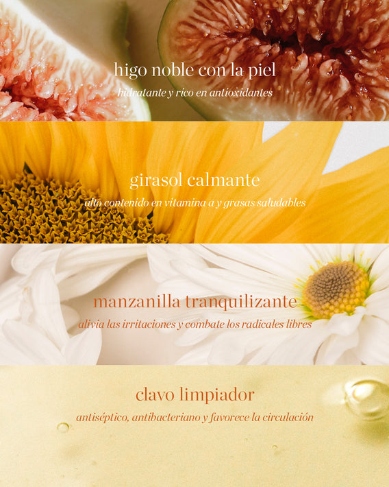 defend & restore set