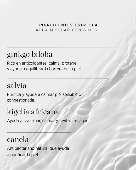 Ingredientes naturales de ginkgo del agua micelar en tabletas Ere Perez