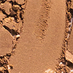 Ere Perez Sombras Individuales con Manzanilla Vegano Eco Belleza