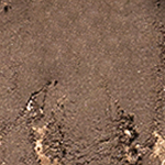 Ere Perez Sombras Individuales con Manzanilla Vegano Eco Belleza