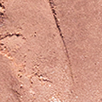 Ere Perez Sombras Individuales con Manzanilla Vegano Eco Belleza