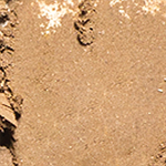 Ere Perez Sombras Individuales con Manzanilla Vegano Eco Belleza